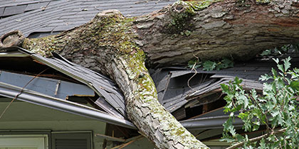 Storm Damage